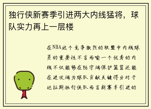 独行侠新赛季引进两大内线猛将，球队实力再上一层楼